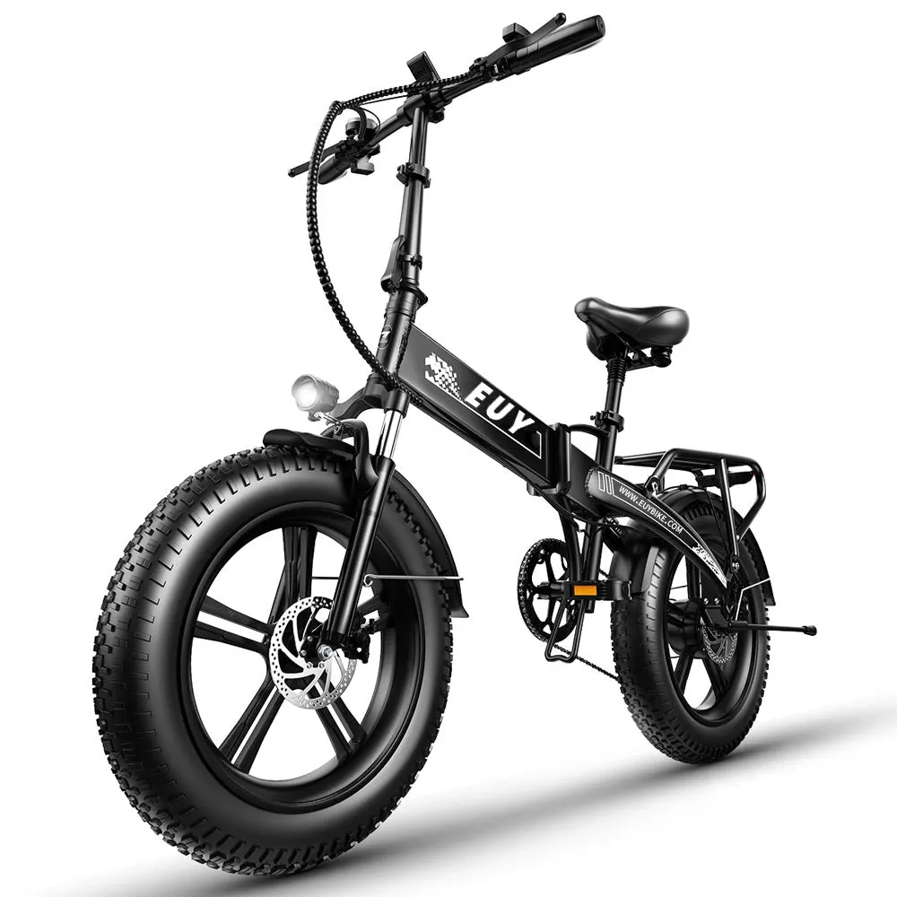 Electric Bike 750W Motor Fat Tire Ebike with Samsung 48V Battery